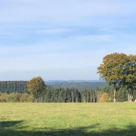 Magnificent Apartment In Willingen With Balcony Bagian luar foto